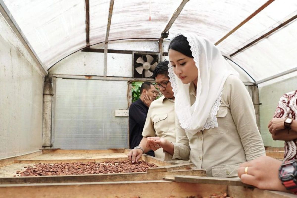 Wamendag Dyah Roro Esti Buka Peluang Ekspor Kakao Lewat Akses Dagang ke 33 Negara