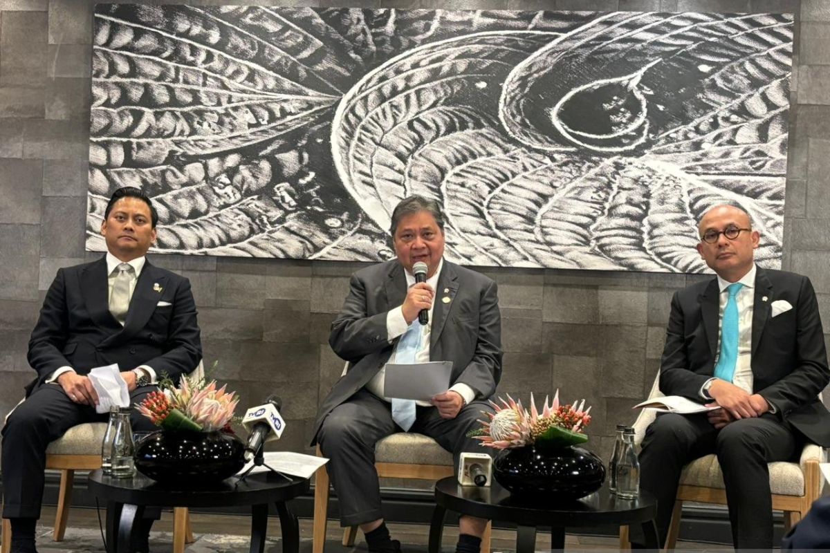 Menko Perekonomian Airlangga Hartarto: Banyak Negara Antre Investasi ke Indonesia, dari Afrika sampai Eropa!
