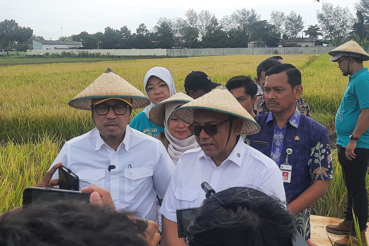 Anggota Komisi IV DPR RI Firman Soebagyo Apresiasi Panen Raya Pati Tembus 10 Ton Per Hektare, Bukti Nyata Swasembada