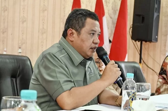 Wakil Ketua Komisi VII DPR RI Lamhot Sinaga: Kasus Amsal Sitepu Jadi Alarm Pentingnya Perlindungan Ekosistem Ekonomi Kreatif
